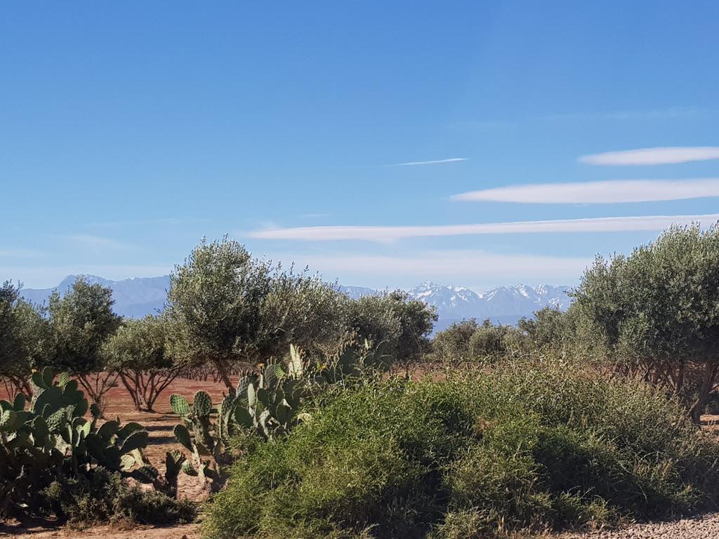Les Jardins De Touhina Villa Marrakesh Eksteriør bilde